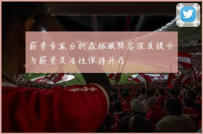 薪资专家分析森林狼阵容深度提升与薪资灵活性保持并存
